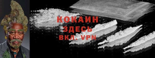 тгк Галич
