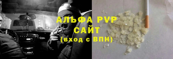 трава Гатчина